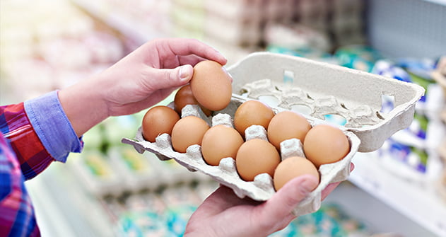 cityfarm-eggs