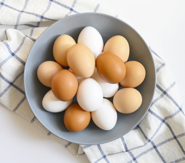fresh-local-eggs-cityfarm-colorado